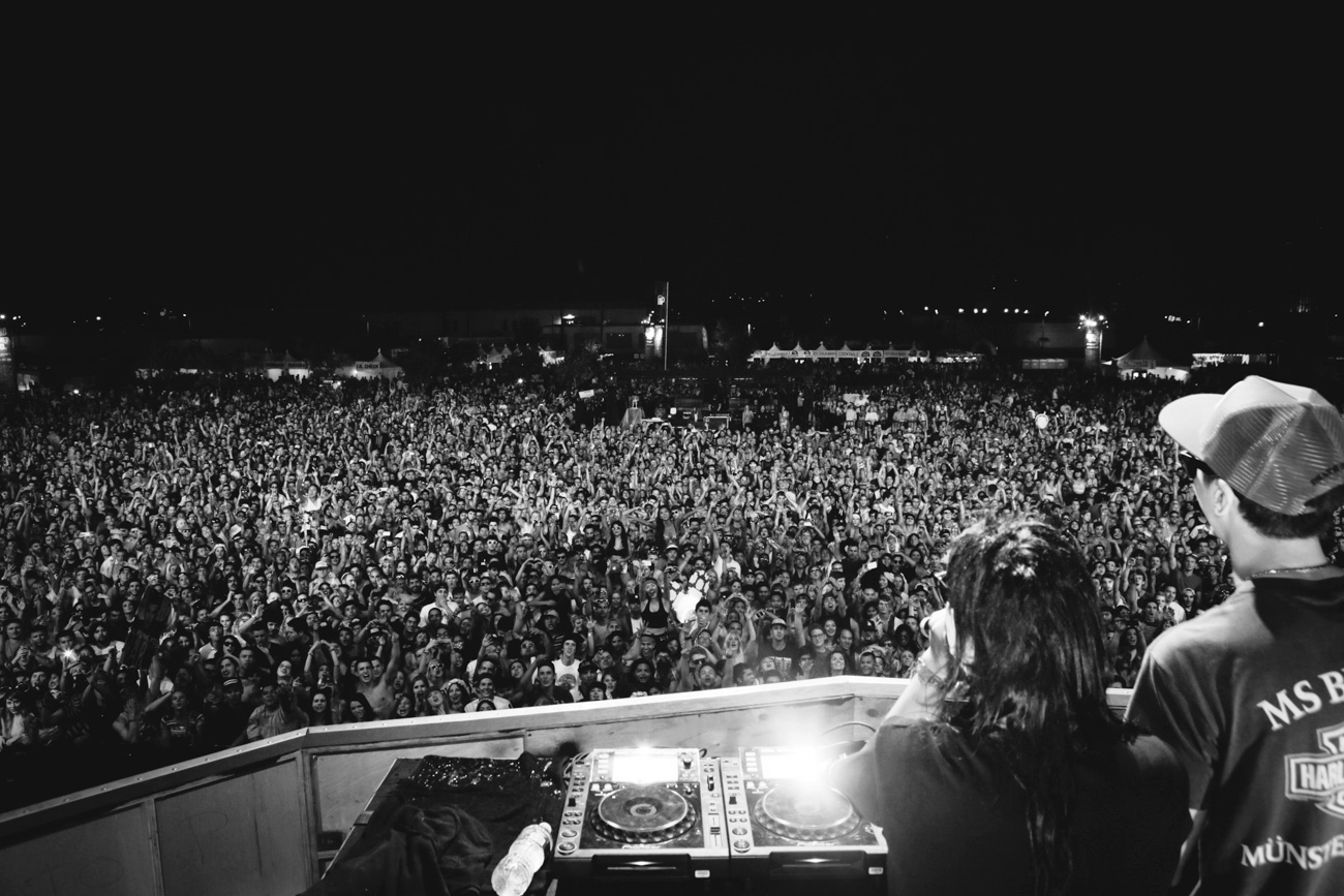 lolla_gallery_-1398